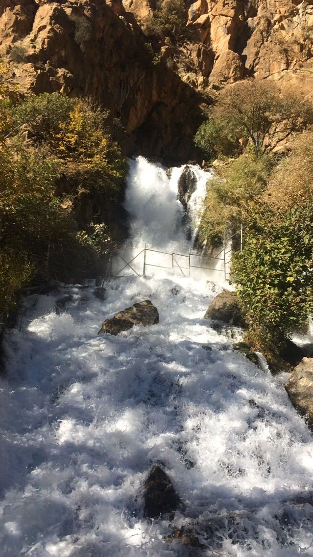 3fb8c48f5e4b28eaa6679d0ca17c296d