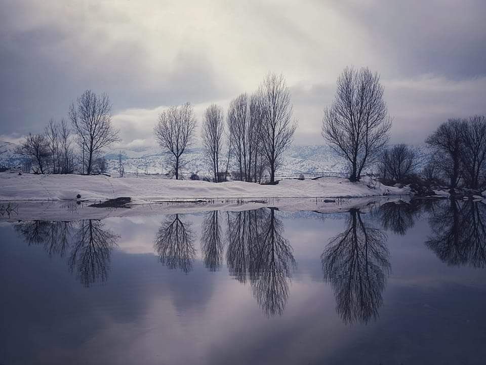 f45cf7c17542503cd6b7950532b76ab6