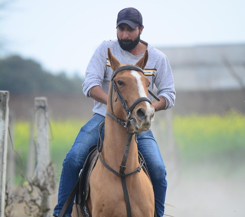 horseback riding, horse, galloping, animal, nature, equine, farm, horse riding